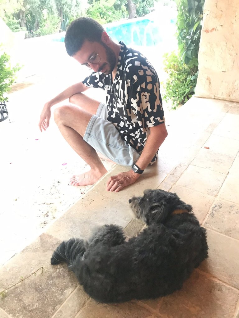 Likya Yolu Palas-官方