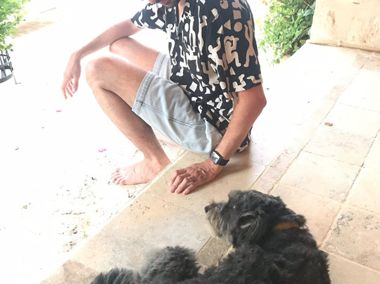 Likya Yolu Palas主图