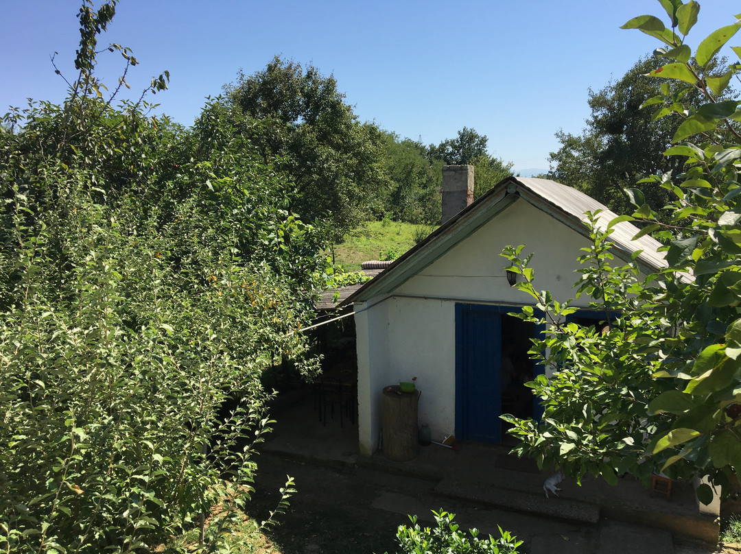 Gumbra旅游攻略图片