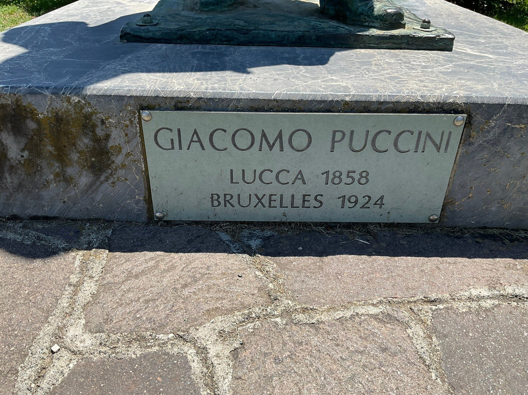 Monumento A Giacomo Puccini景点图片