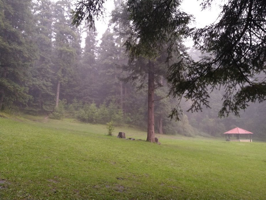 Parque Ejidal San Nicolas Totolapan-墨西哥城必去景点