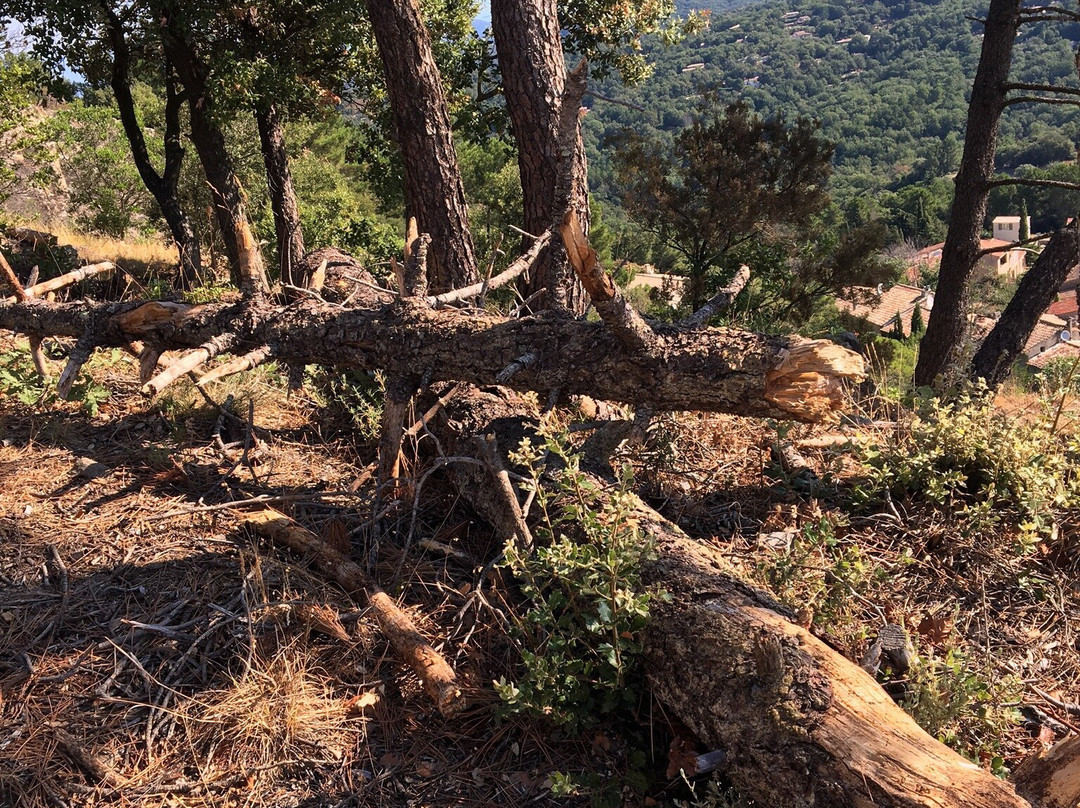 Fort-Freinet-La Garde-Freinet必去景点