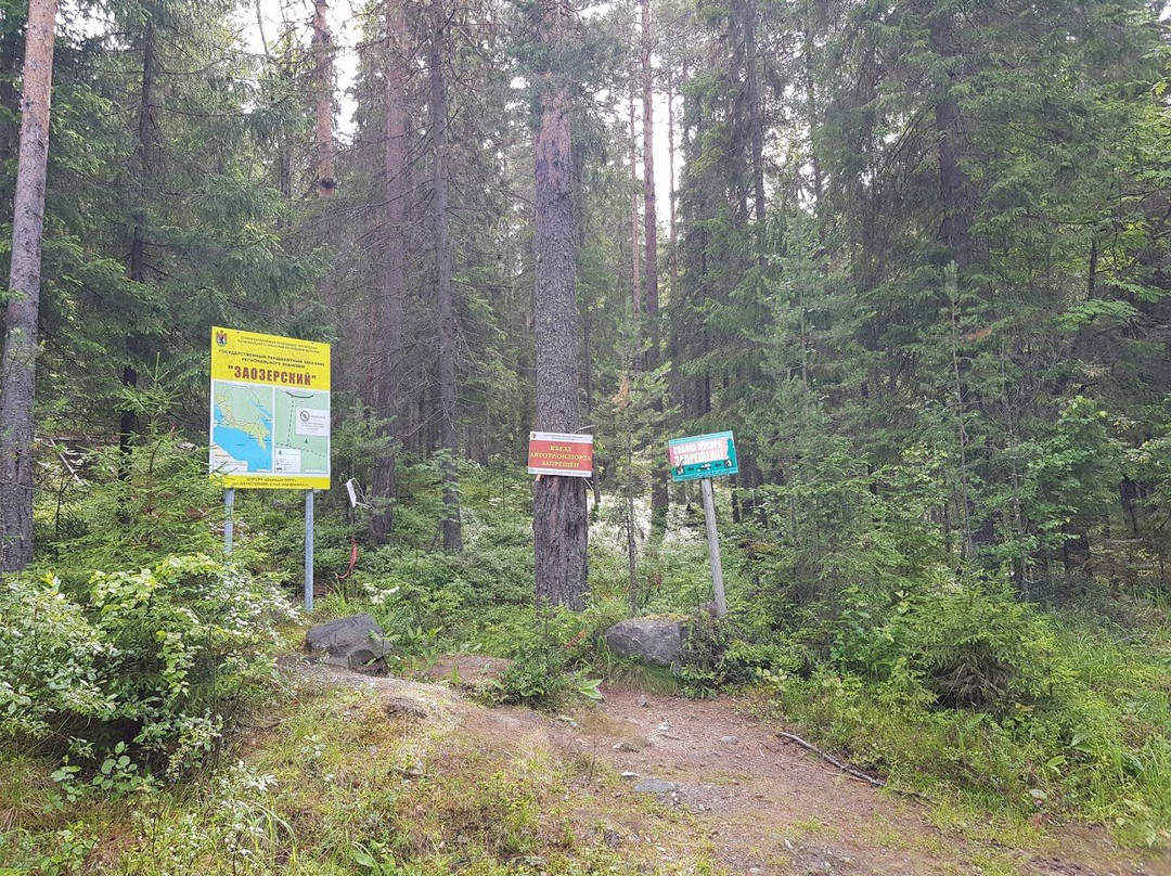 Eco Path V Gostyakh U Yelki景点图片