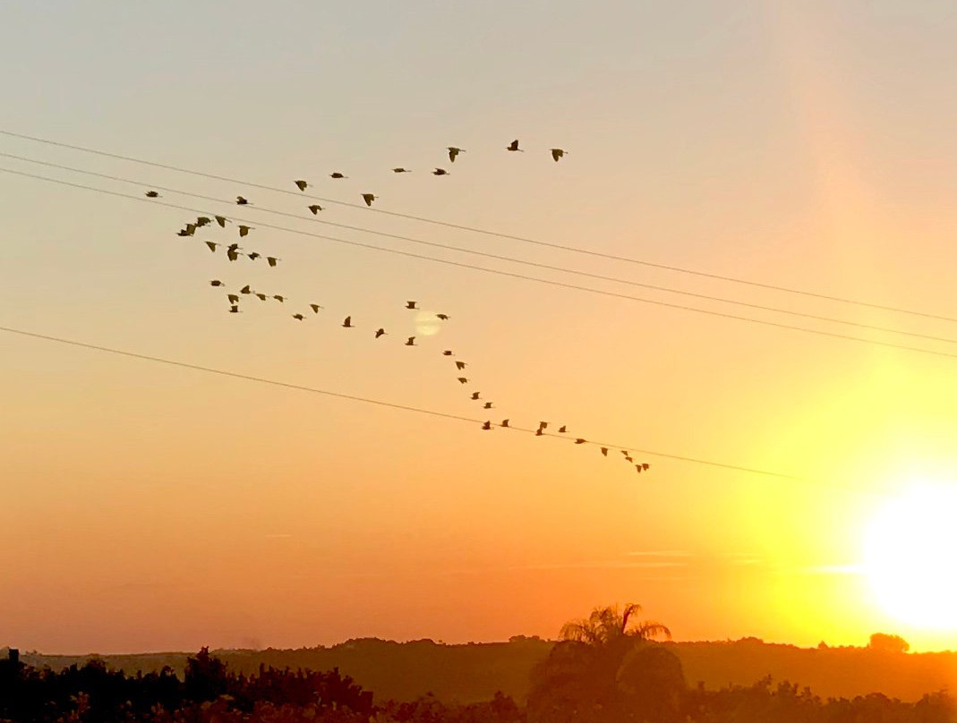 Pousada do Vinhedo主图