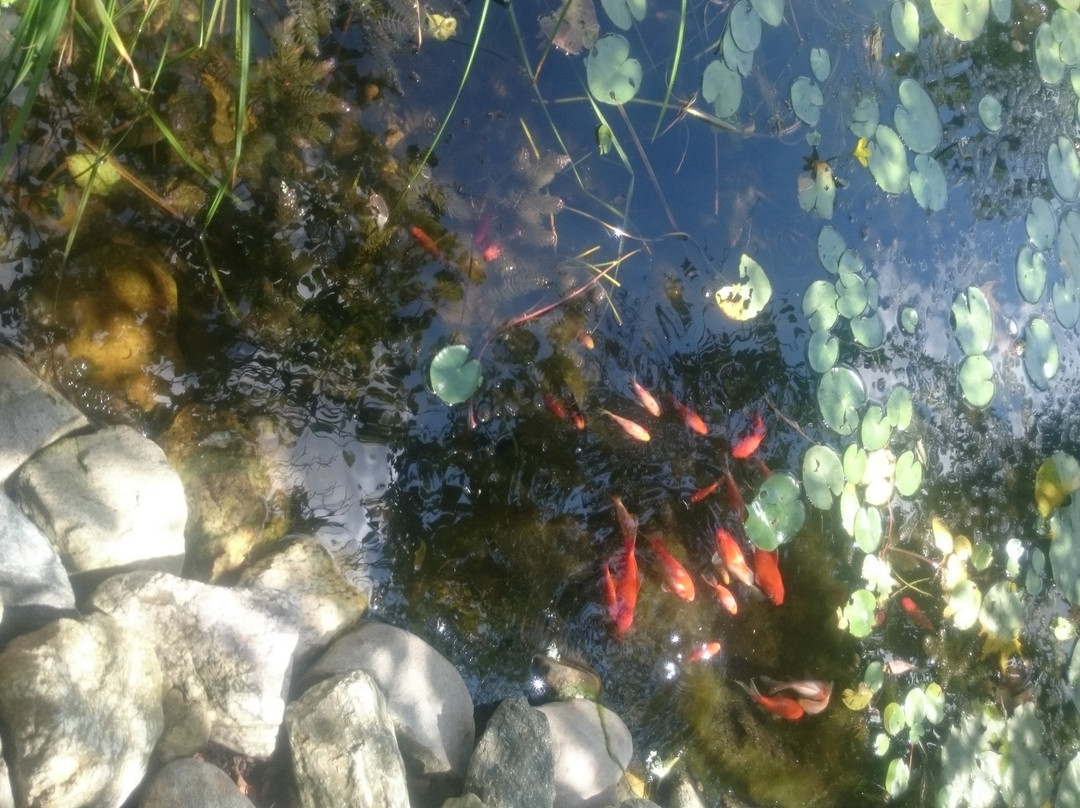 Botanic Garden Borika-Ihtiman必去景点