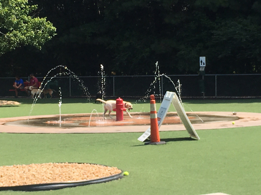 Newtown Park-约翰斯克里克必去景点