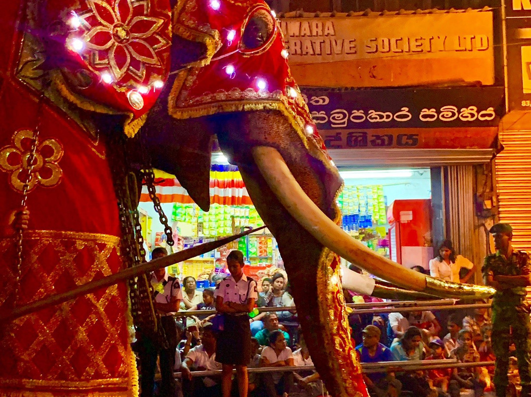 Esala Perahera Festival-康提必去景点
