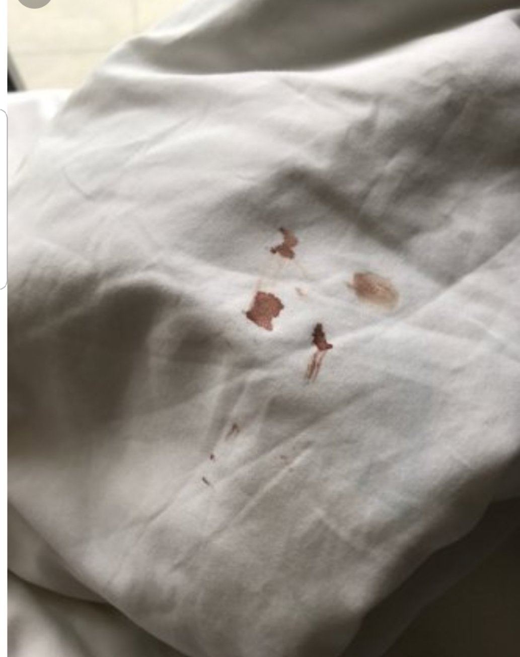 Ektor Apartments-portrait