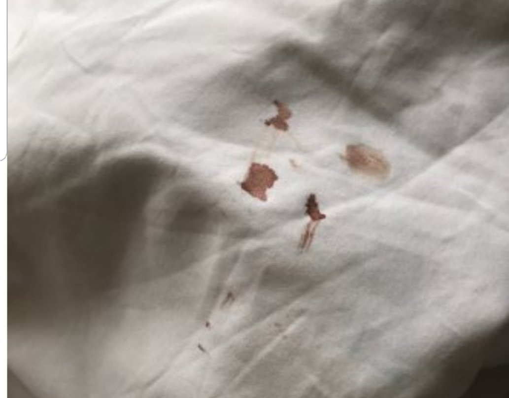 Ektor Apartments主图