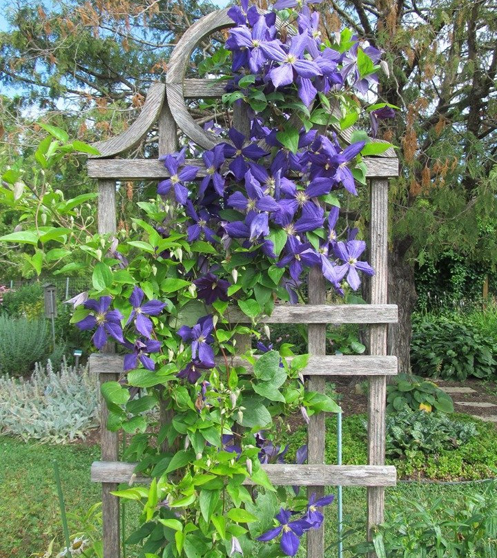 Dubuque Arboretum & Botanical Gardens-迪比克必去景点