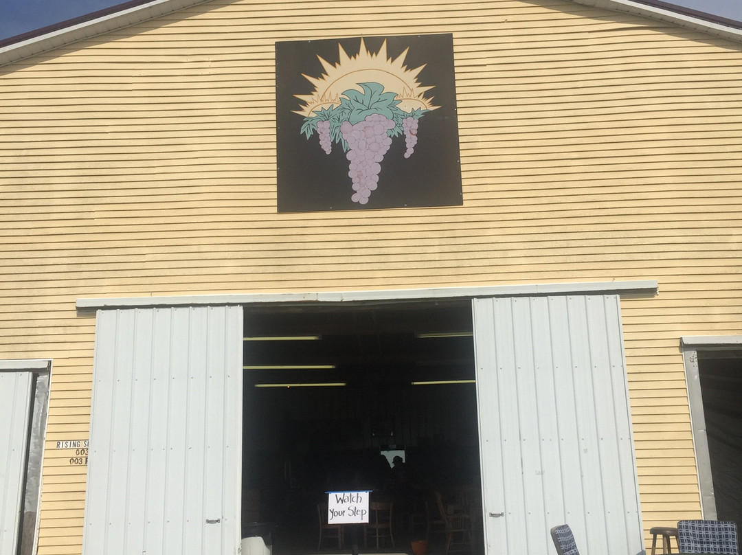 Rising Sons Home Farm Winery-Lawrenceburg必去景点