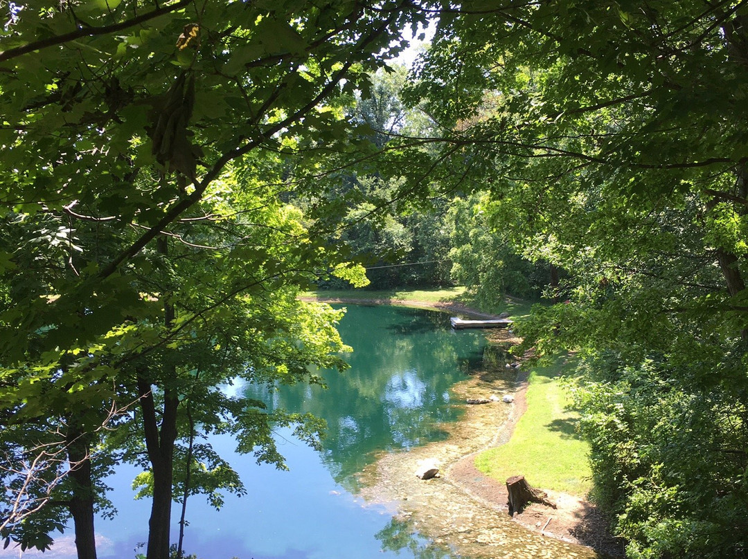 Markin Farms Zipline Adventures-West Liberty必去景点