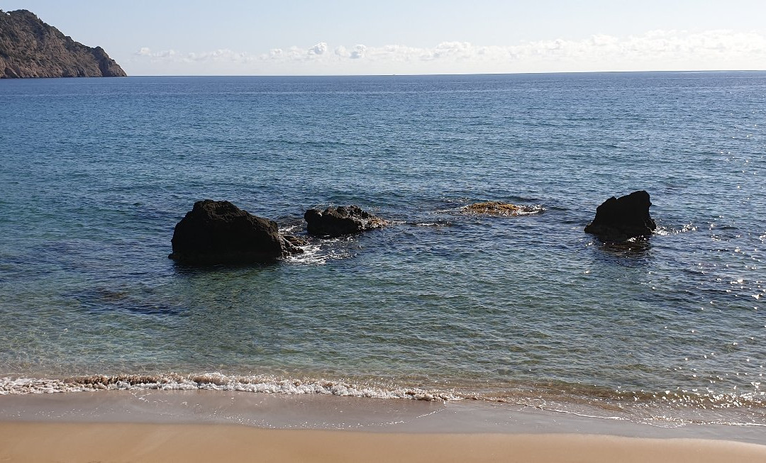 Playa de Aigues Blanques景点图片