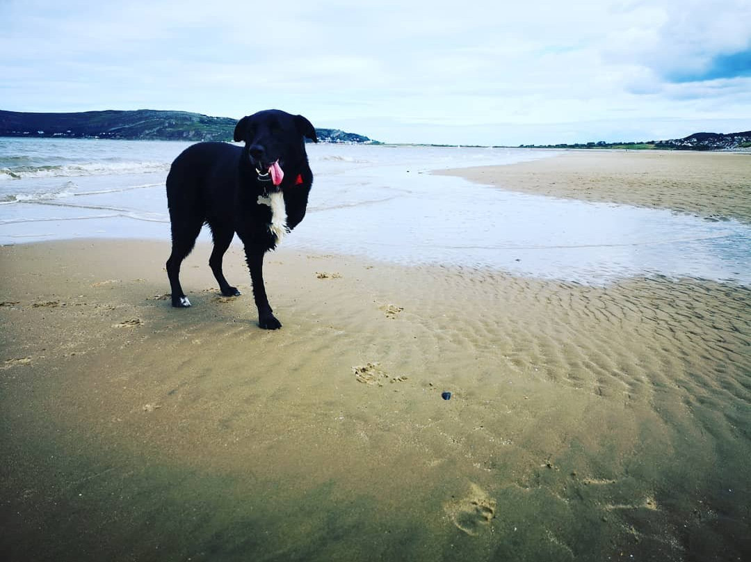 Conwy Morfa Beach景点图片