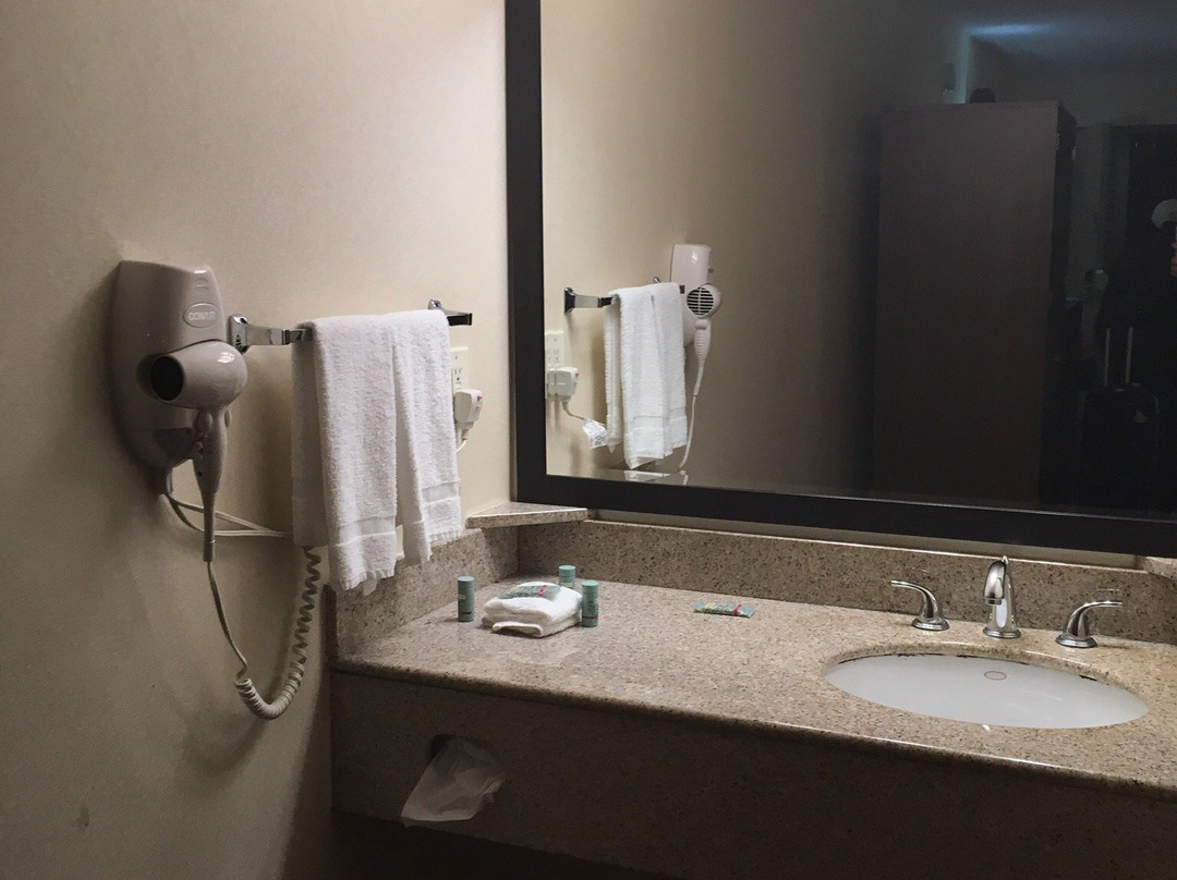 Best Western Princeton Manor Inn & Suites主图