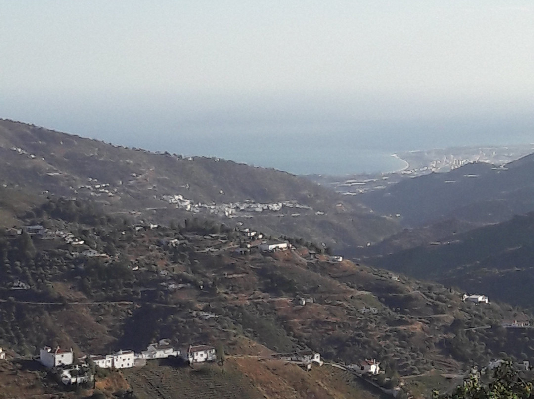 Casa Roble B&B主图