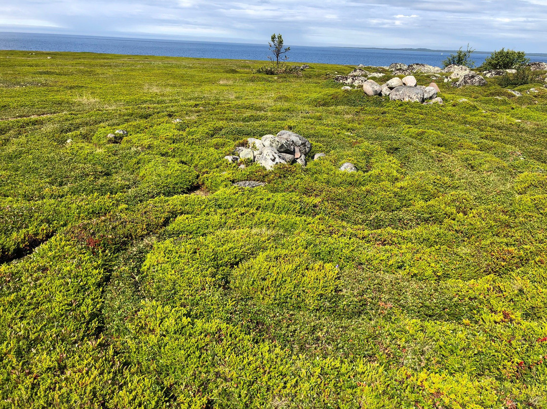 Labyrinths of Big Zayatskiy Island景点图片