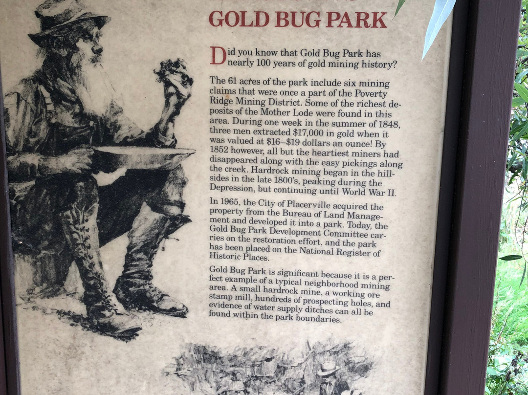 Hangtown's Gold Bug Park景点图片