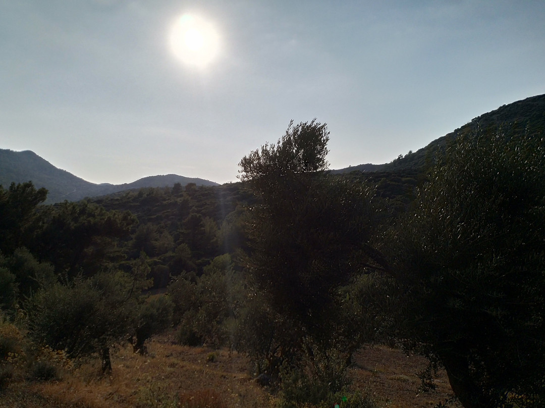 Panouris Ranch-Samos Town必去景点