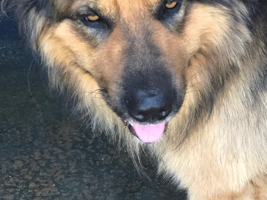 Huitres Henry-Crach必去景点