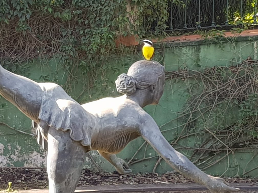 Jardim Botanico De Americana-Americana必去景点