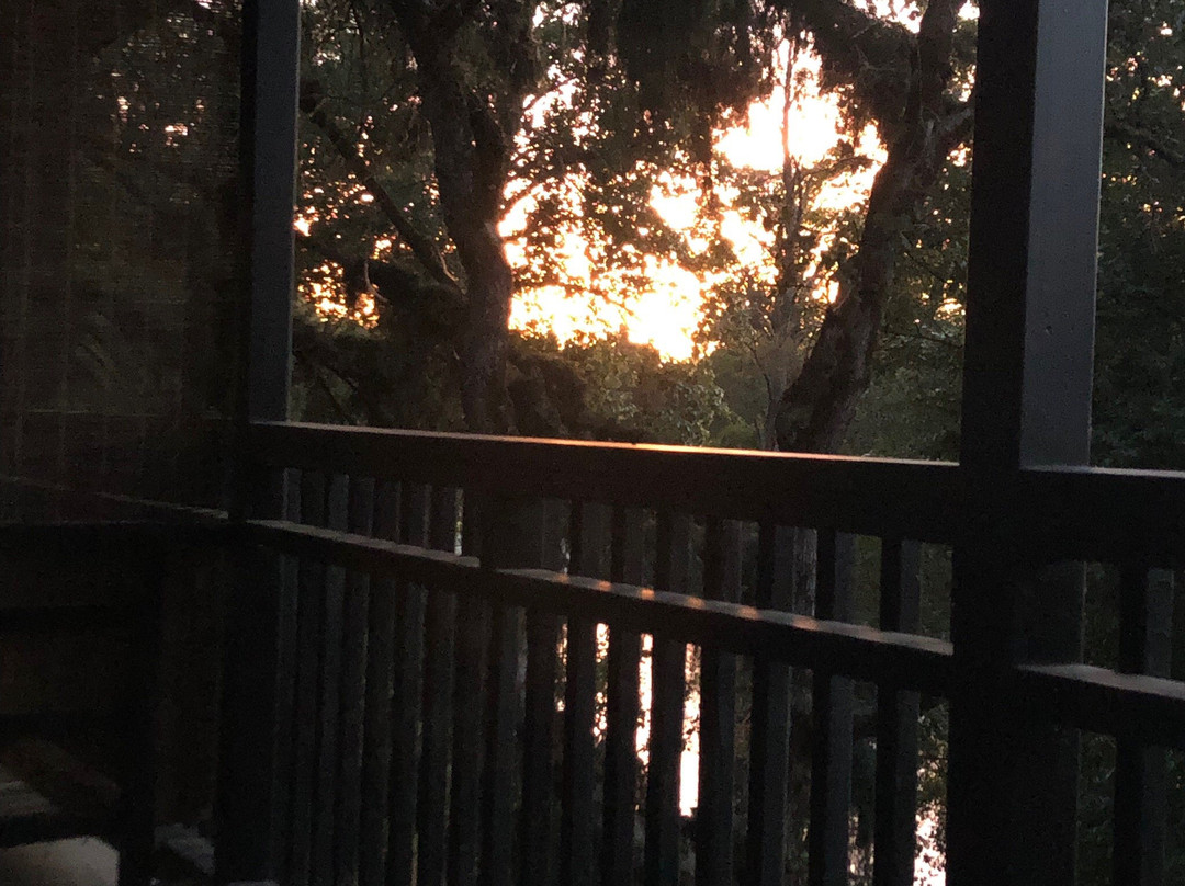 Motel Del Rogue主图