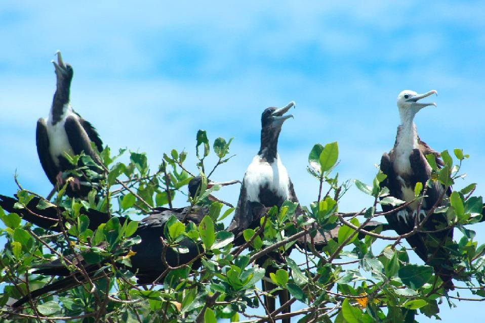 Taxi Zorritos Tours-Zorritos必去景点