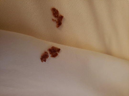 Kneeland酒店住宿-Blue Lake Casino Hotel