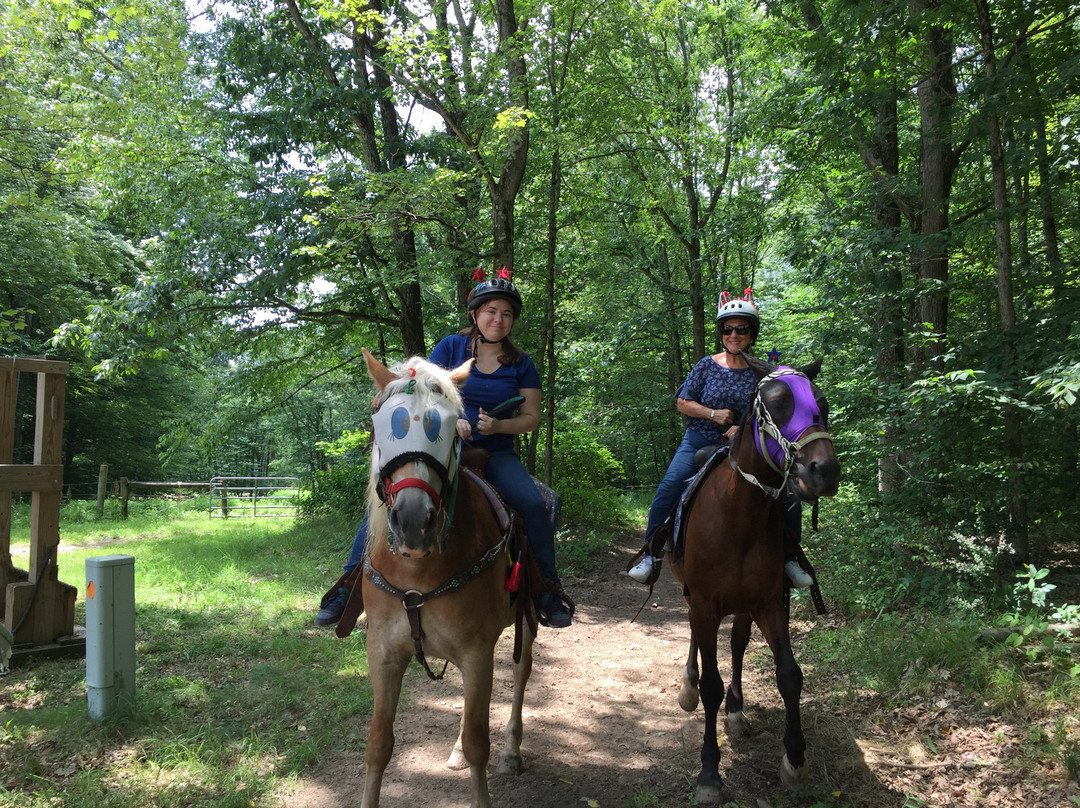 Jim Thorpe Horse Adventures景点图片