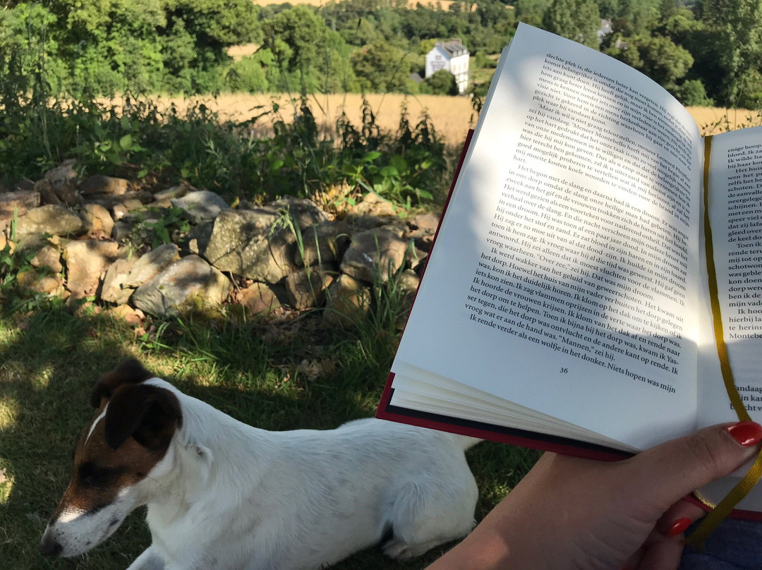 La Colline des Renards主图