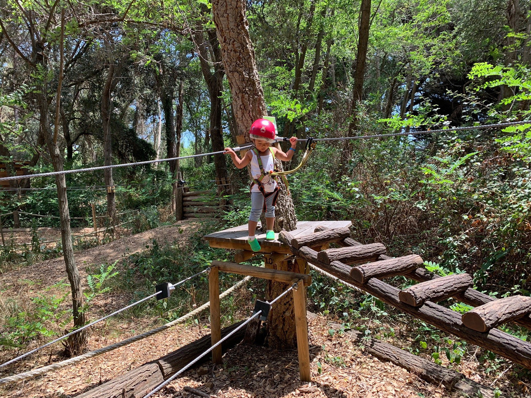 Costa Brava Parc Aventura景点图片