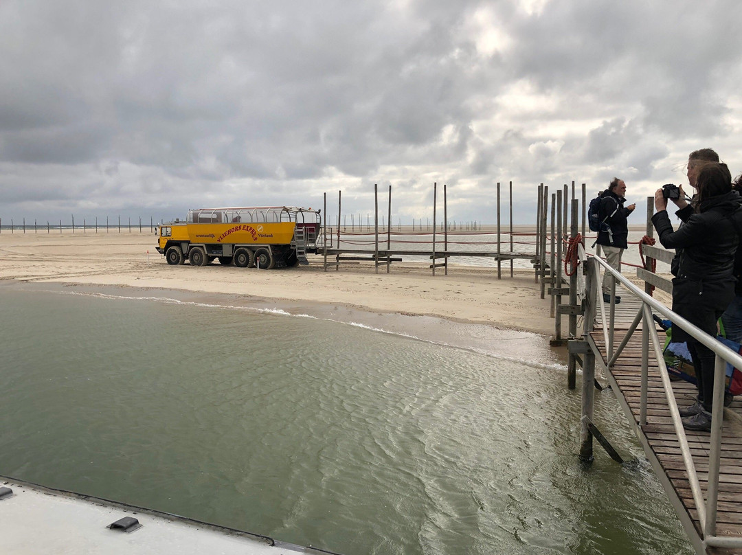Waddenveer De Vriendschap-De Cocksdorp必去景点