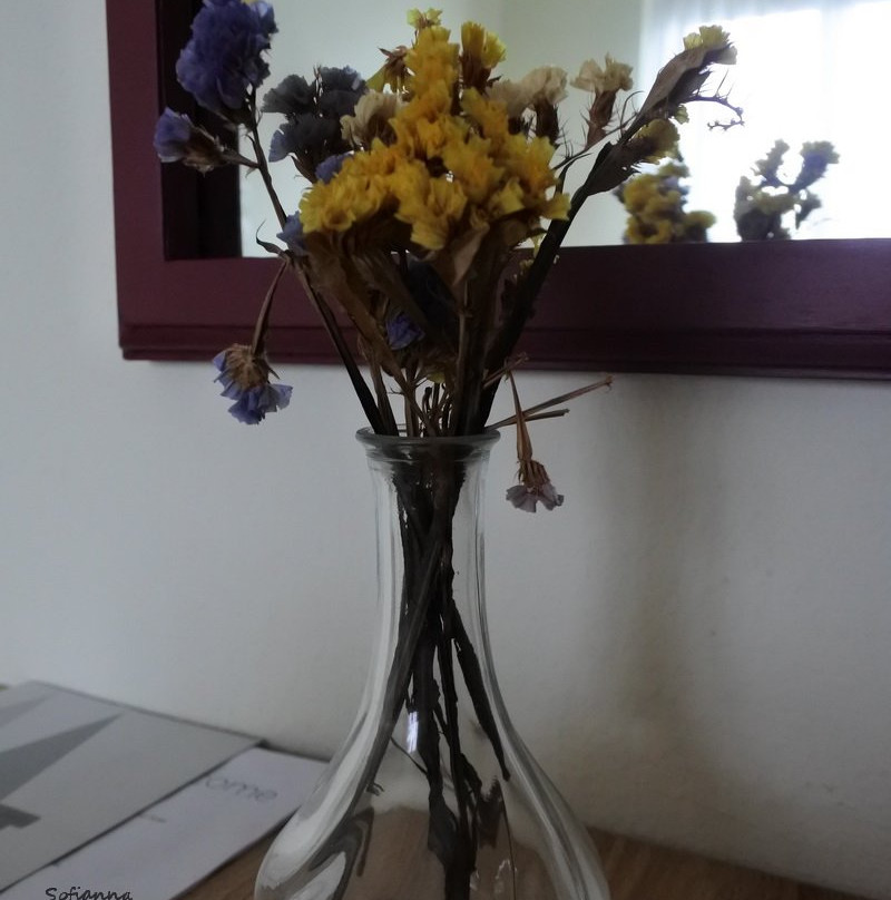 Olympos Hotel & Restaurant主图