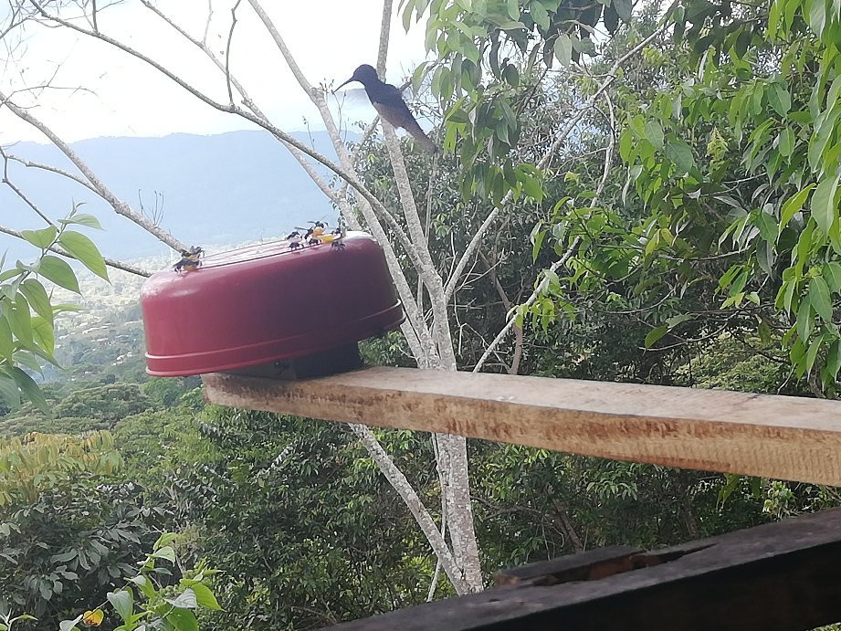 Waqanki Lodge-Moyobamba必去景点