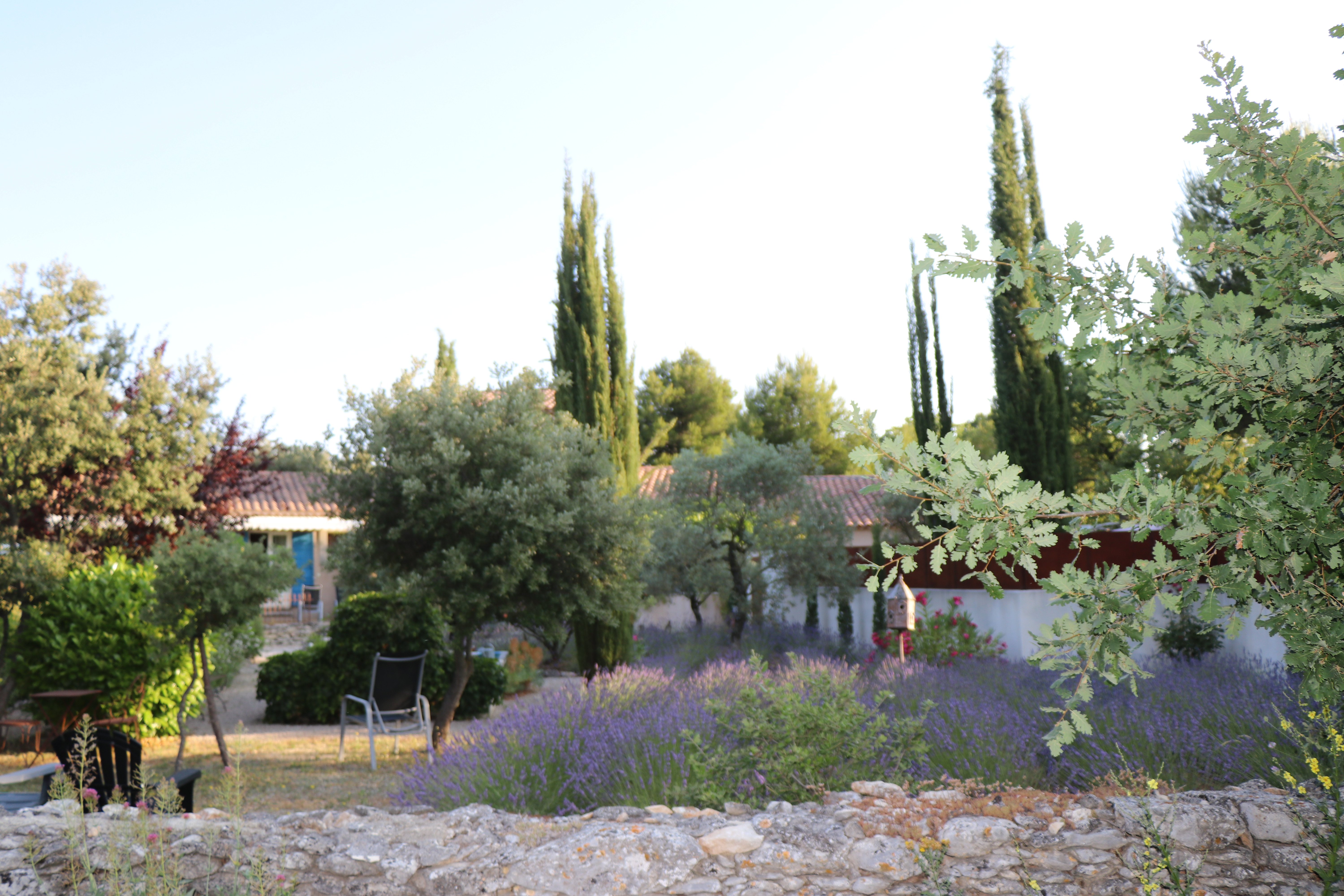Le Clos Des Lavandes-官方