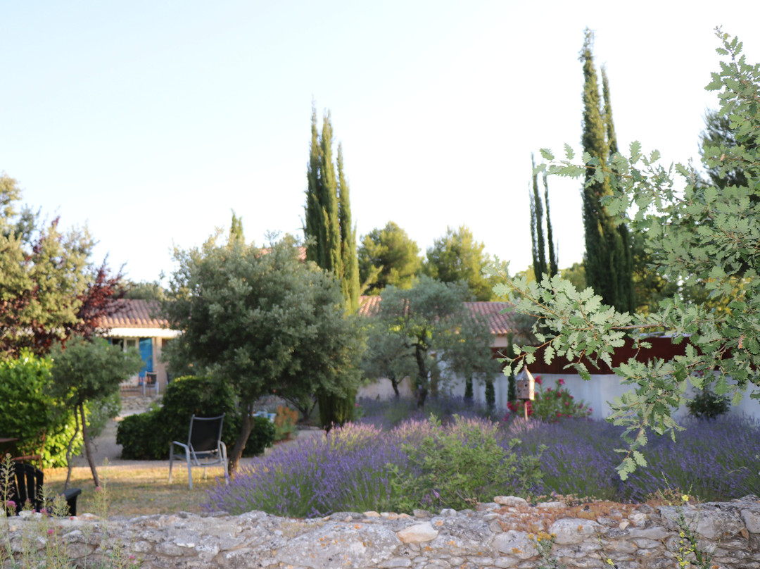 Le Clos Des Lavandes主图