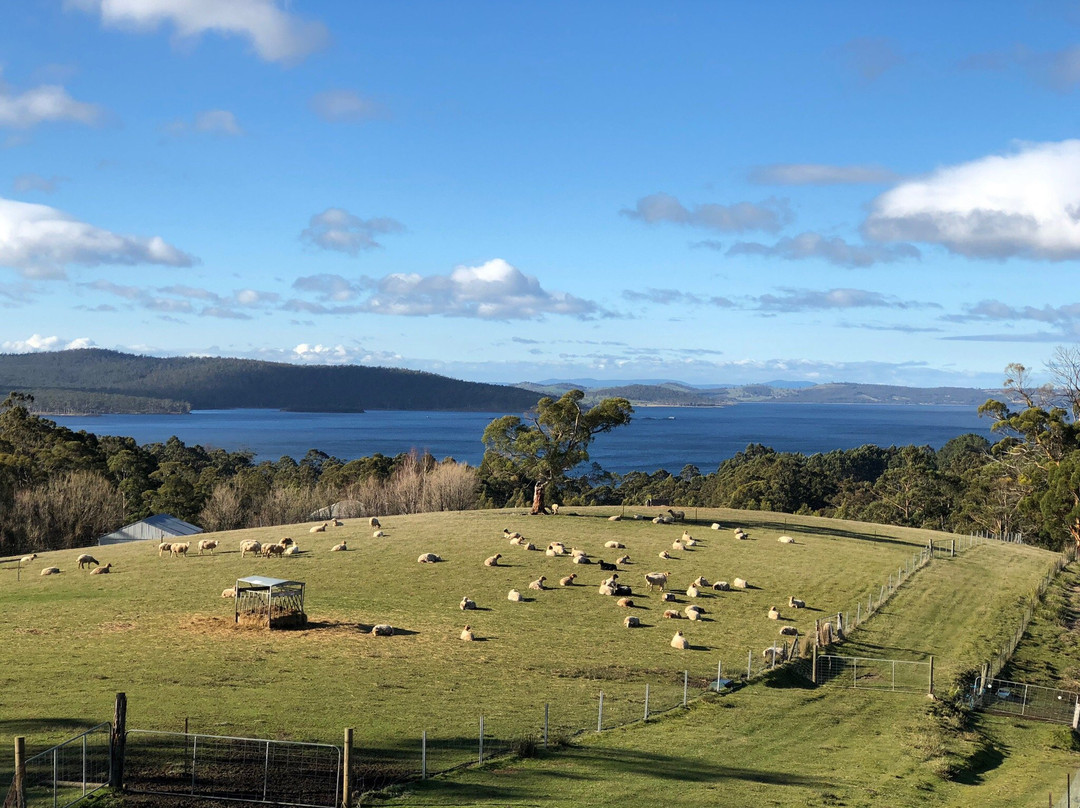 Grandvewe Cheeses-Birchs Bay必去景点