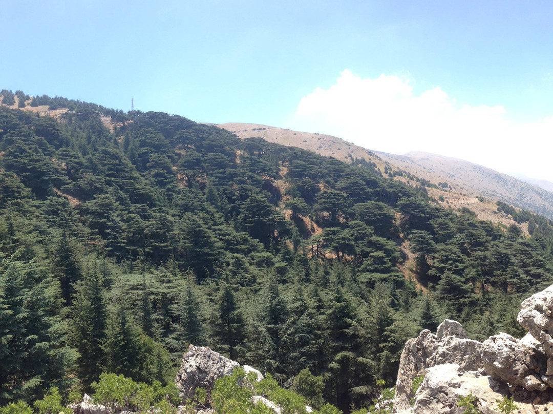 Neosafar-贝鲁特必去景点