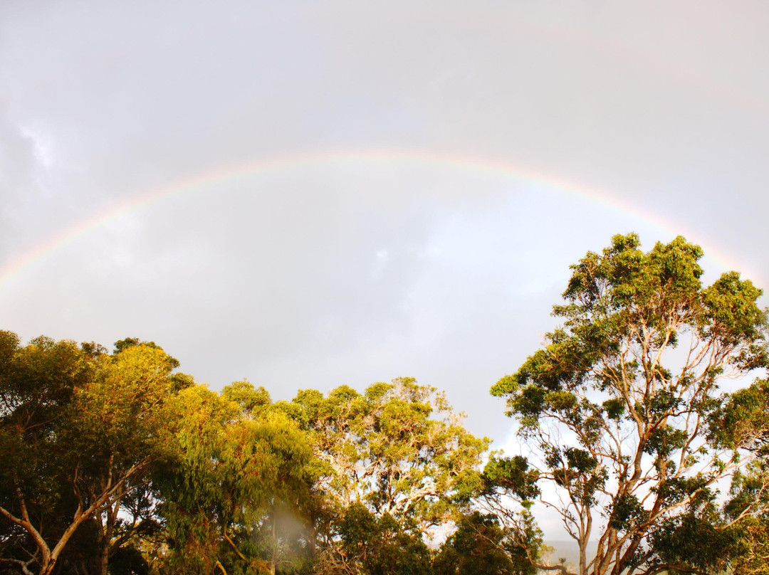 野木山谷酒店主图