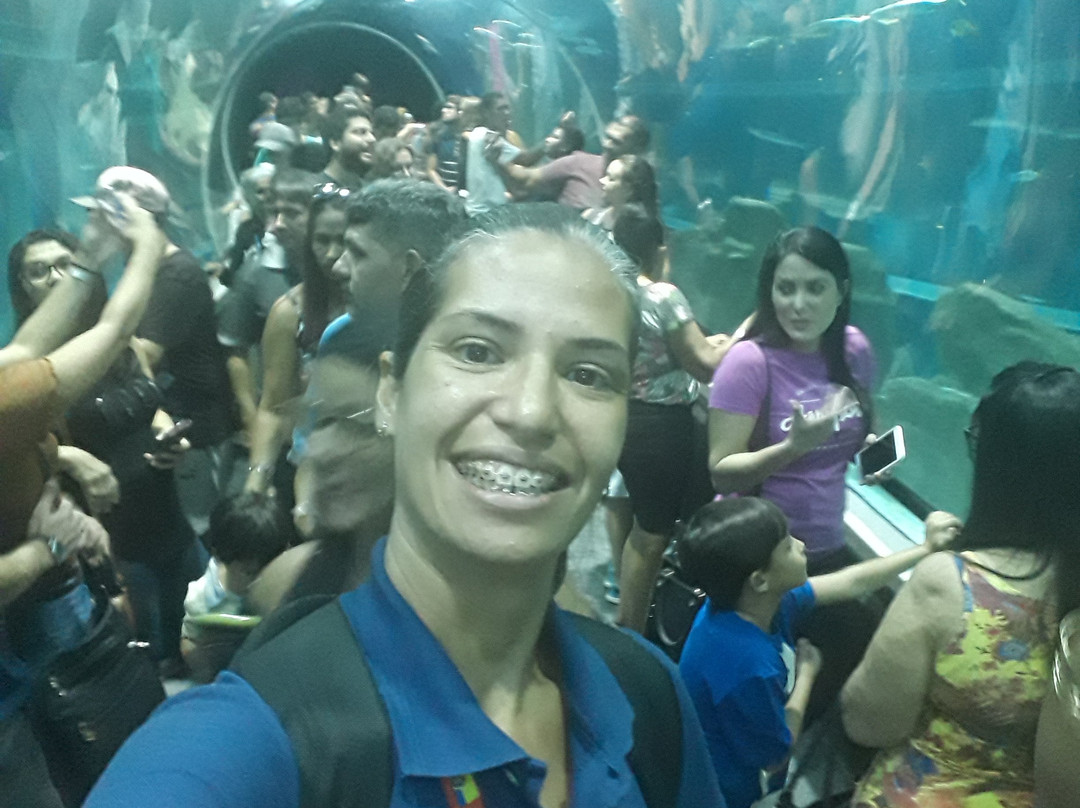 AquaRio-里约热内卢必去景点