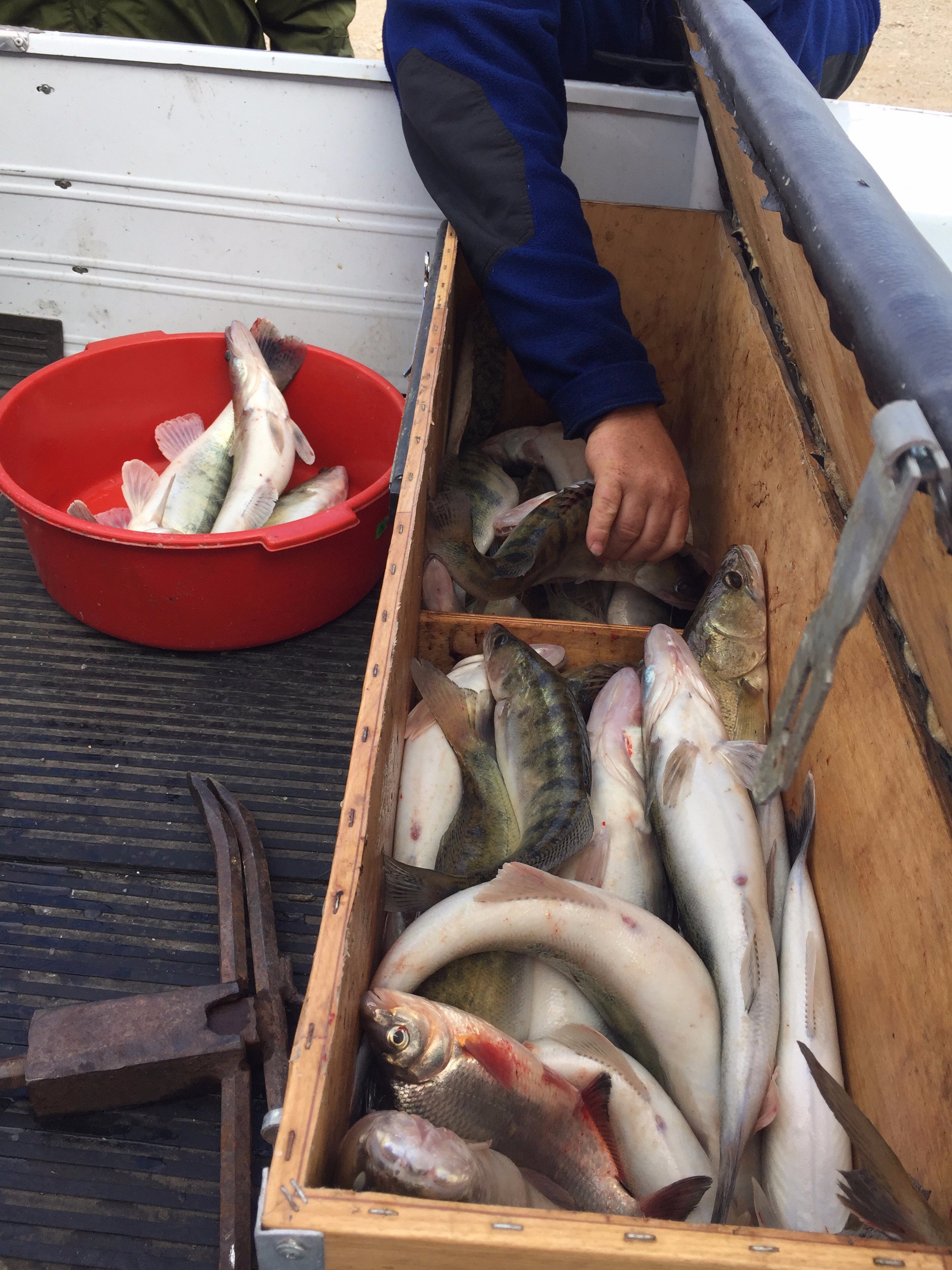 Rybolovnaya Baza Barkas-官方