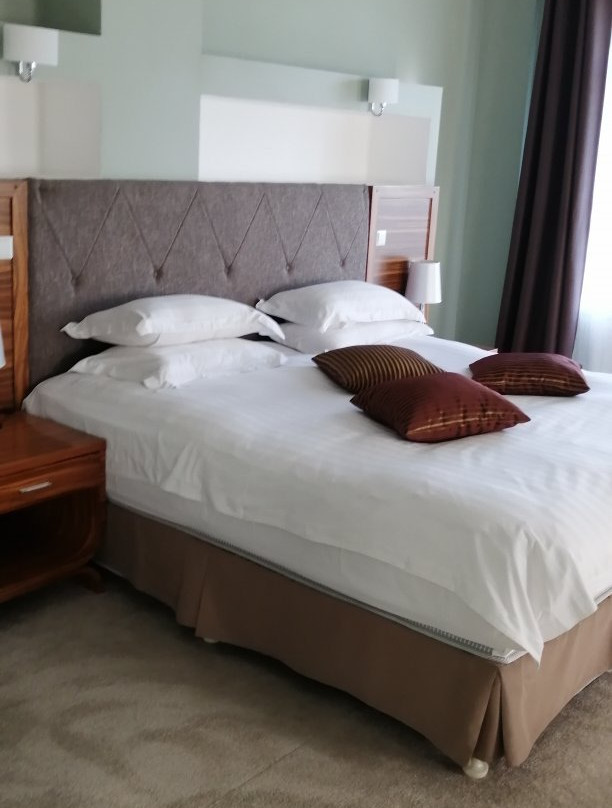 Resedentsiya Hotel主图