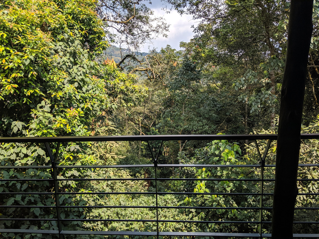 One & Only Nyungwe House主图