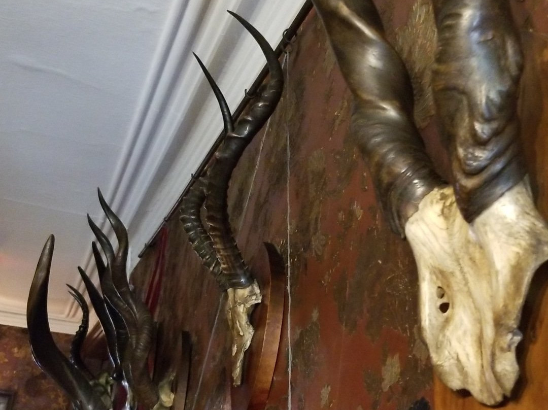 Eldon House-伦敦必去景点