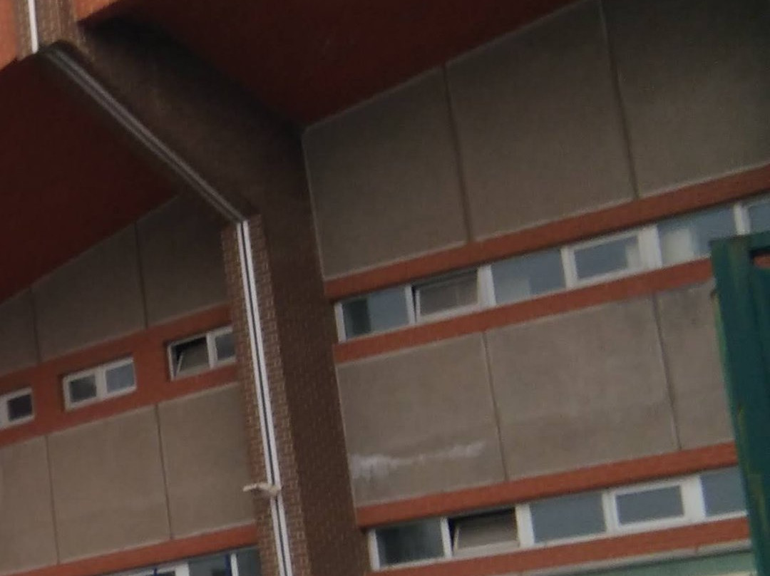 Merinos Stadyumu-布尔萨必去景点