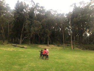 Hotel Hacienda Suescun主图