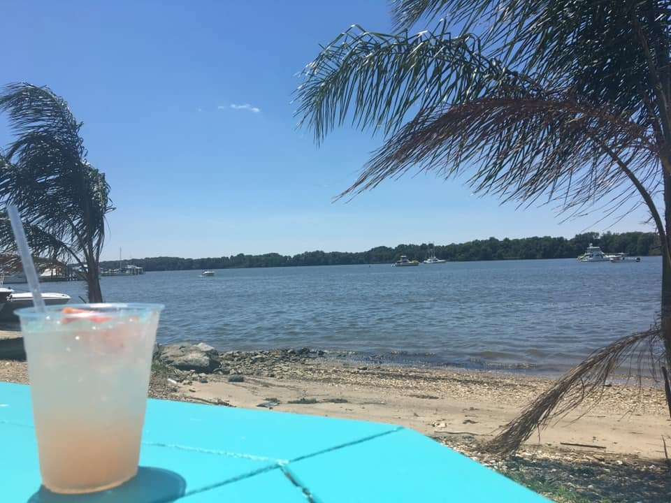 jellyfish joel's-Chestertown必去景点