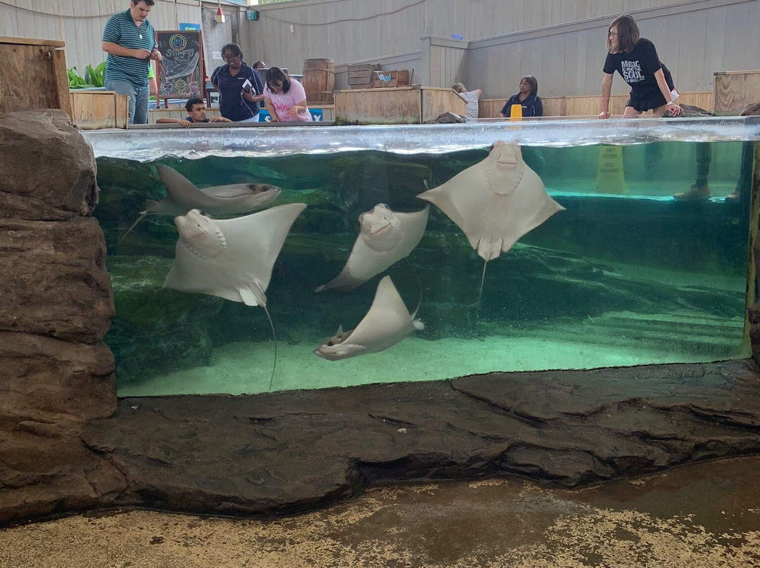 Children's Aquarium at Fair Park景点图片