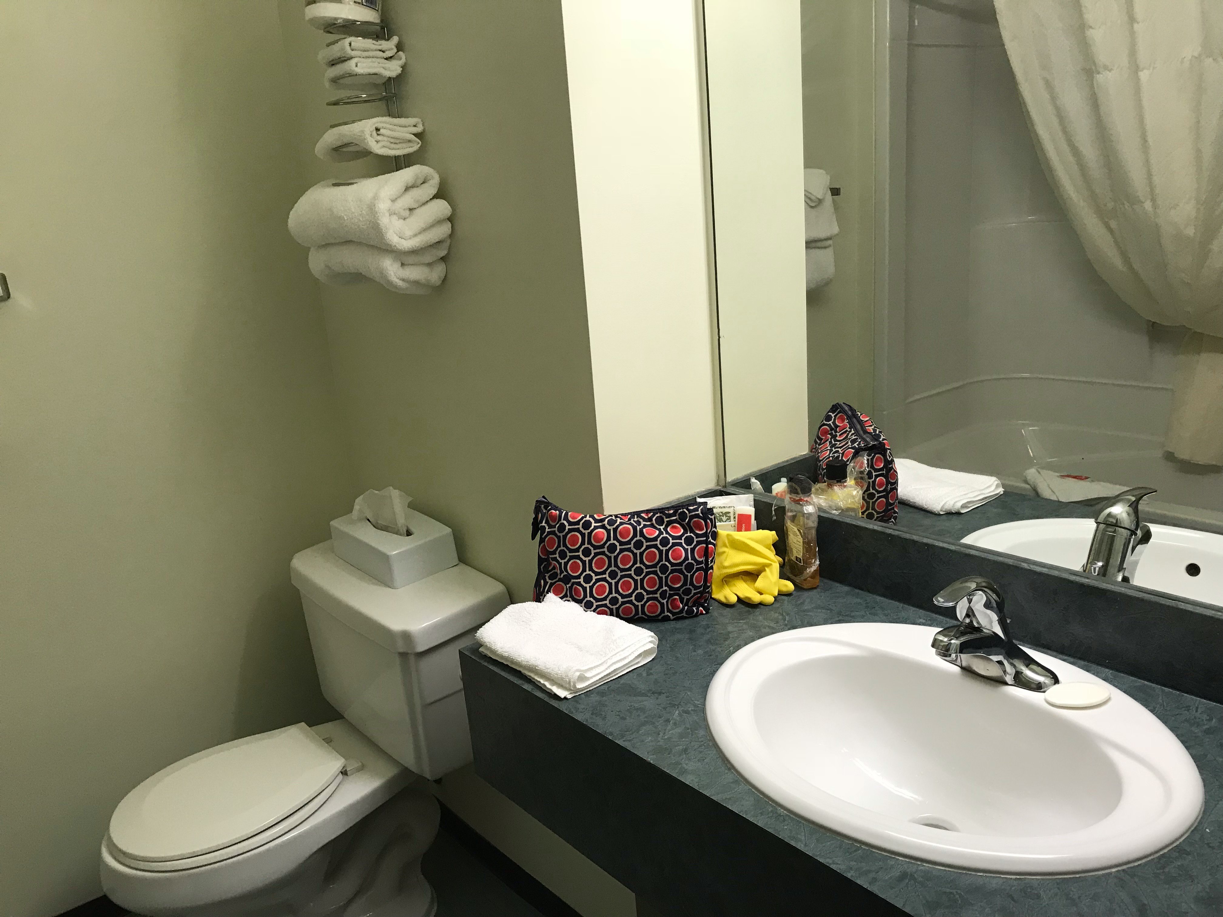 Coast Hinton Hotel-浴室