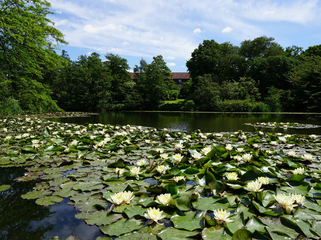 Botanical Garden景点图片